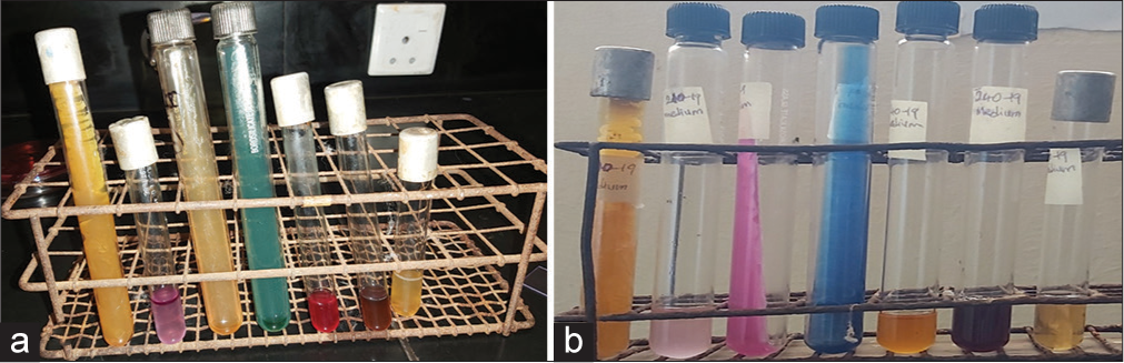 (a) Biochemical test outcome of Escherichia coli (b) Biochemical test outcome of Klebsiella spp. From L-R (a & b): Triple Sugar Iron, Indole, Urease, Citrate, Methyl Red, Voges Proskauer and motility.